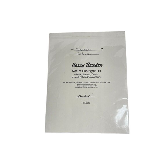 Maples & Birch Nature Photography With Matte For Wall Art By Harry Bowden 14x11” - Picture 4 of 7